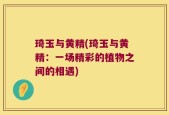 琦玉与黄精(琦玉与黄精：一场精彩的植物之间的相遇)