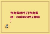 连南黄精种子(连南黄精：珍稀草药种子推荐)