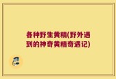 各种野生黄精(野外遇到的神奇黄精奇遇记)