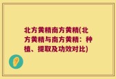 北方黄精南方黄精(北方黄精与南方黄精：种植、提取及功效对比)
