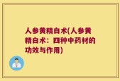 人参黄精白术(人参黄精白术：四种中药材的功效与作用)