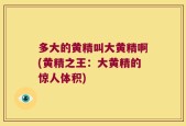 多大的黄精叫大黄精啊(黄精之王：大黄精的惊人体积)