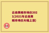 云南黄精市场价2021(2021年云南黄精市场价大幅上涨)