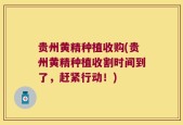 贵州黄精种植收购(贵州黄精种植收割时间到了，赶紧行动！)