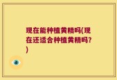 现在能种植黄精吗(现在还适合种植黄精吗？)