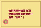 仙桃黄精种植基地(仙桃黄精种植基地黄金打造的“仙境”)