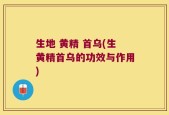 生地 黄精 首乌(生黄精首乌的功效与作用)