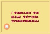 广安黄精小苗(广安黄精小苗：生命力强韧、营养丰富的防疫佳品)