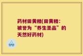 药材田黄精(田黄精：被誉为“养生圣品”的天然好药材)