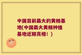 中国目前最大的黄精基地(中国最大黄精种植基地近期亮相！)