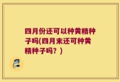 四月份还可以种黄精种子吗(四月末还可种黄精种子吗？)