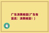 广东滇黄精苗(广东有苗卖：滇黄精苗！)