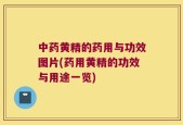 中药黄精的药用与功效图片(药用黄精的功效与用途一览)