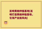 嵩明黄精种植基地(嵩明打造黄精种植基地，引领产业新风向)