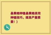 桑黄精种植桑黄精高效种植技巧，提高产量质量！)