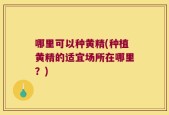 哪里可以种黄精(种植黄精的适宜场所在哪里？)