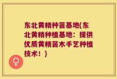 东北黄精种苗基地(东北黄精种植基地：提供优质黄精苗木手艺种植技术！)