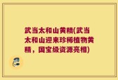 武当太和山黄精(武当太和山迎来珍稀植物黄精，国宝级资源亮相)