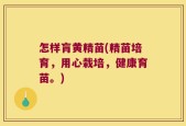 怎样肓黄精苗(精苗培育，用心栽培，健康育苗。)