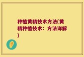 种植黄精技术方法(黄精种植技术：方法详解)