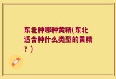 东北种哪种黄精(东北适合种什么类型的黄精？)