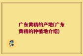 广东黄精的产地(广东黄精的种植地介绍)