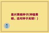 嘉兴黄精种子(种植黄精，选对种子关键！)