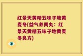 红景天黄精五味子地黄麦冬(益气养阴丸：红景天黄精五味子地黄麦冬良方)
