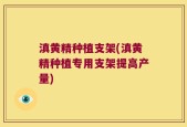 滇黄精种植支架(滇黄精种植专用支架提高产量)
