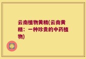 云南植物黄精(云南黄精：一种珍贵的中药植物)