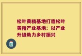 松叶黄精基地打造松叶黄精产业基地：以产业升级助力乡村振兴