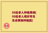 80后老人种植黄精(80后老人嗜好养生 走进黄精种植园)