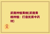 武隆种植黄精(武隆黄精种植：打造优质中药材)