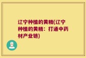辽宁种植的黄精(辽宁种植的黄精：打通中药材产业链)