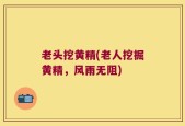 老头挖黄精(老人挖掘黄精，风雨无阻)