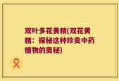 双叶多花黄精(双花黄精：探秘这种珍贵中药植物的奥秘)