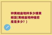 种黄精亩地种多少棵黄精苗(黄精亩地种植密度是多少？)