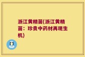 浙江黄精苗(浙江黄精苗：珍贵中药材再现生机)