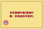 多花黄精叶鞘(黄精叶鞘：多用途的中草药)