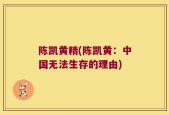 陈凯黄精(陈凯黄：中国无法生存的理由)