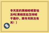冬天蒸的黄精晾晒害怕冻吗(黄精蒸后怎样晾干最妙，跟冬天防冻有关！)