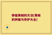 移植黄精的方法(黄精的种植与养护大全)