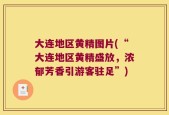 大连地区黄精图片(“大连地区黄精盛放，浓郁芳香引游客驻足”)