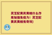 灵芝配黄芪黄精什么作用加强免疫力！灵芝配黄芪黄精有奇效)