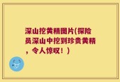 深山挖黄精图片(探险员深山中挖到珍贵黄精，令人惊叹！)