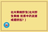 北川黄精野生(北川野生黄精 优质中药资源或遭挤压？)