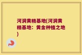 河洞黄精基地(河洞黄精基地：黄金种植之地)