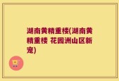 湖南黄精重楼(湖南黄精重楼 花园洲山区新宠)