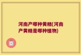 河南产哪种黄精(河南产黄精是哪种植物)