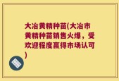 大冶黄精种苗(大冶市黄精种苗销售火爆，受欢迎程度赢得市场认可)
